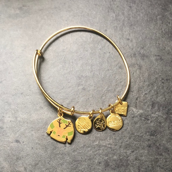 Alex and Ani Jewelry - Alex and Ani Winter rain deer 🦌 sweater bracelet